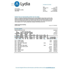 France Lydia Noir fake bank statement Word and PDF template